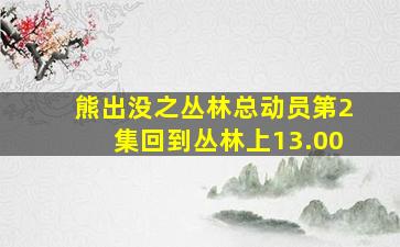 熊出没之丛林总动员第2集回到丛林上13.00