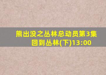 熊出没之丛林总动员第3集回到丛林(下)13:00