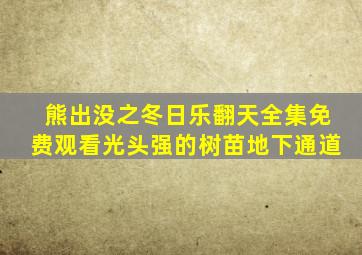 熊出没之冬日乐翻天全集免费观看光头强的树苗地下通道