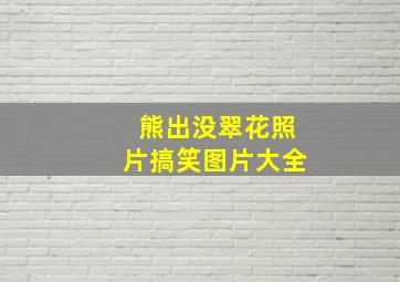 熊出没翠花照片搞笑图片大全