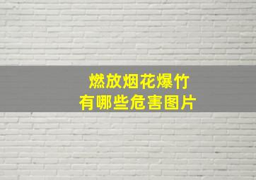 燃放烟花爆竹有哪些危害图片