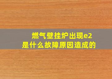 燃气壁挂炉出现e2是什么故障原因造成的