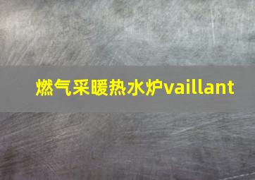 燃气采暖热水炉vaillant