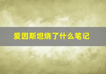 爱因斯坦烧了什么笔记