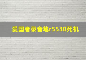 爱国者录音笔r5530死机