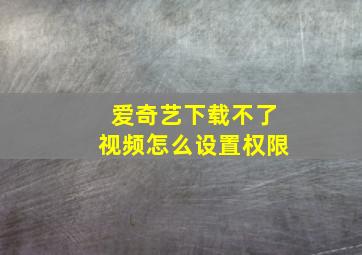 爱奇艺下载不了视频怎么设置权限