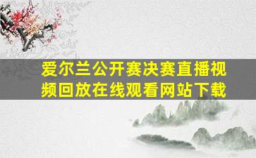 爱尔兰公开赛决赛直播视频回放在线观看网站下载