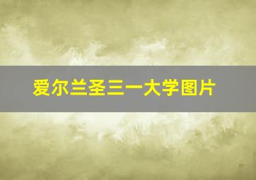 爱尔兰圣三一大学图片