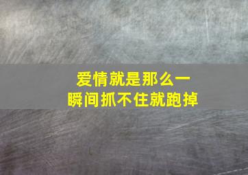 爱情就是那么一瞬间抓不住就跑掉