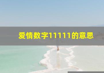 爱情数字11111的意思