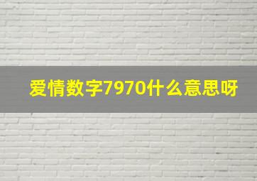 爱情数字7970什么意思呀