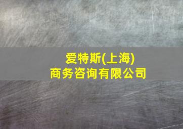 爱特斯(上海)商务咨询有限公司