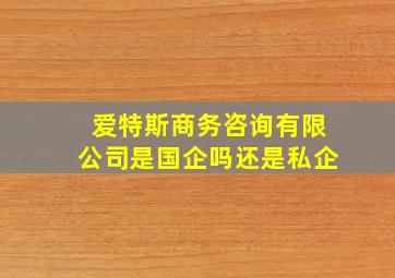 爱特斯商务咨询有限公司是国企吗还是私企