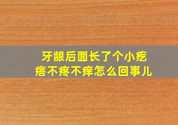 牙龈后面长了个小疙瘩不疼不痒怎么回事儿