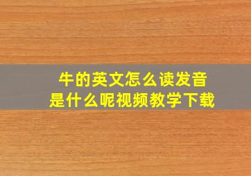 牛的英文怎么读发音是什么呢视频教学下载