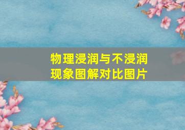 物理浸润与不浸润现象图解对比图片