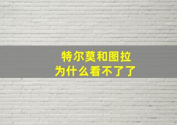 特尔莫和图拉为什么看不了了