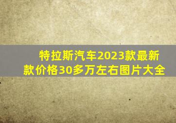 特拉斯汽车2023款最新款价格30多万左右图片大全