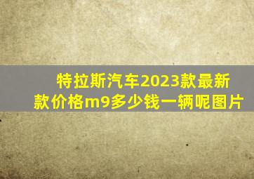 特拉斯汽车2023款最新款价格m9多少钱一辆呢图片