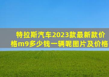 特拉斯汽车2023款最新款价格m9多少钱一辆呢图片及价格