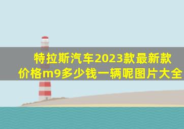 特拉斯汽车2023款最新款价格m9多少钱一辆呢图片大全