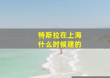 特斯拉在上海什么时候建的