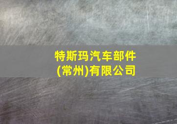 特斯玛汽车部件(常州)有限公司