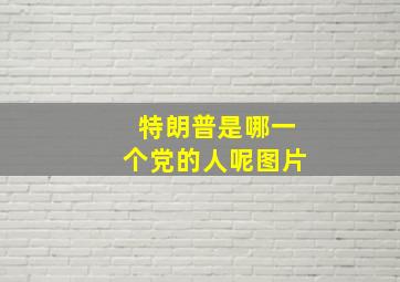 特朗普是哪一个党的人呢图片