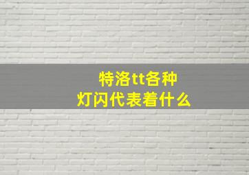 特洛tt各种灯闪代表着什么