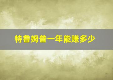 特鲁姆普一年能赚多少