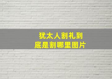 犹太人割礼到底是割哪里图片