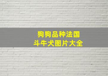 狗狗品种法国斗牛犬图片大全