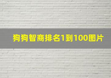 狗狗智商排名1到100图片