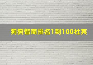 狗狗智商排名1到100杜宾