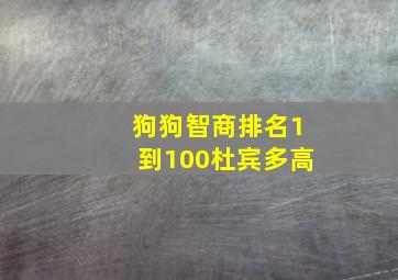 狗狗智商排名1到100杜宾多高