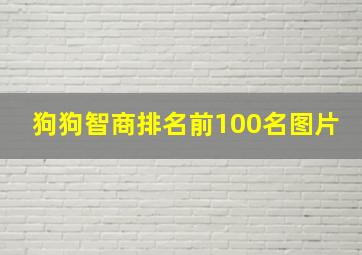 狗狗智商排名前100名图片