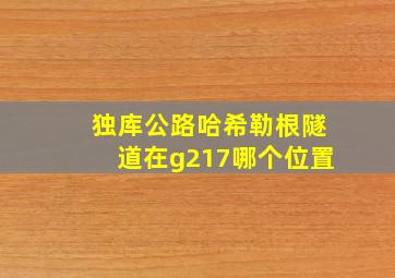 独库公路哈希勒根隧道在g217哪个位置