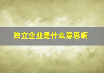 独立企业是什么意思啊