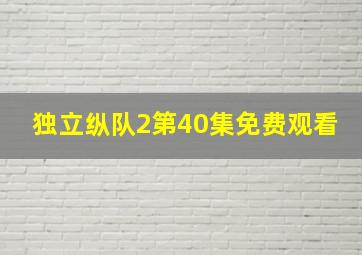 独立纵队2第40集免费观看