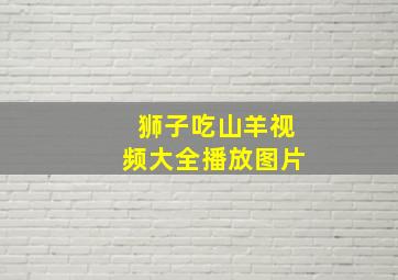 狮子吃山羊视频大全播放图片