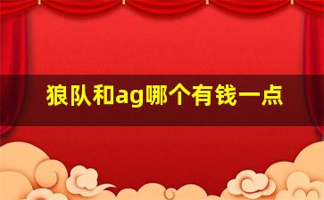 狼队和ag哪个有钱一点