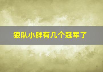 狼队小胖有几个冠军了