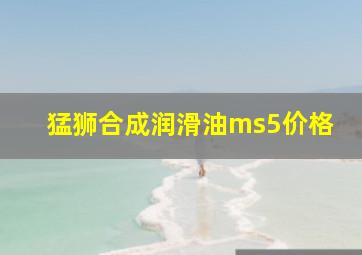 猛狮合成润滑油ms5价格