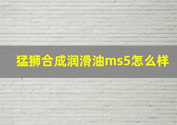 猛狮合成润滑油ms5怎么样