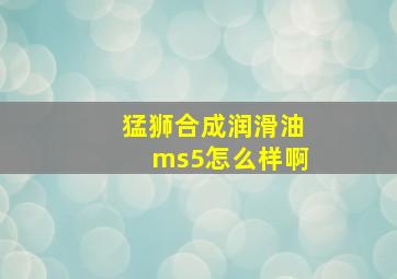 猛狮合成润滑油ms5怎么样啊