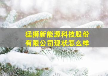 猛狮新能源科技股份有限公司现状怎么样