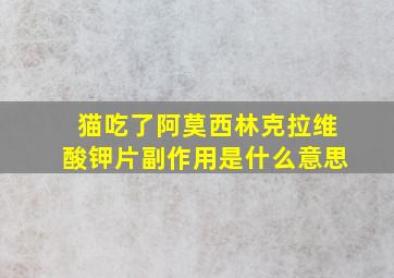 猫吃了阿莫西林克拉维酸钾片副作用是什么意思