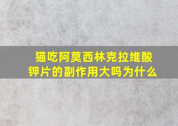 猫吃阿莫西林克拉维酸钾片的副作用大吗为什么