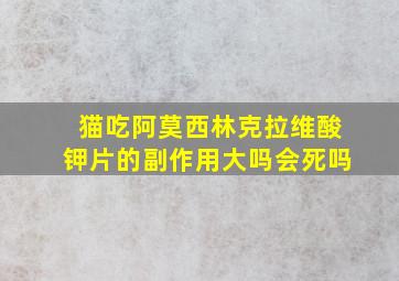 猫吃阿莫西林克拉维酸钾片的副作用大吗会死吗