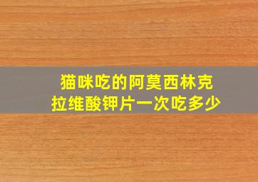 猫咪吃的阿莫西林克拉维酸钾片一次吃多少